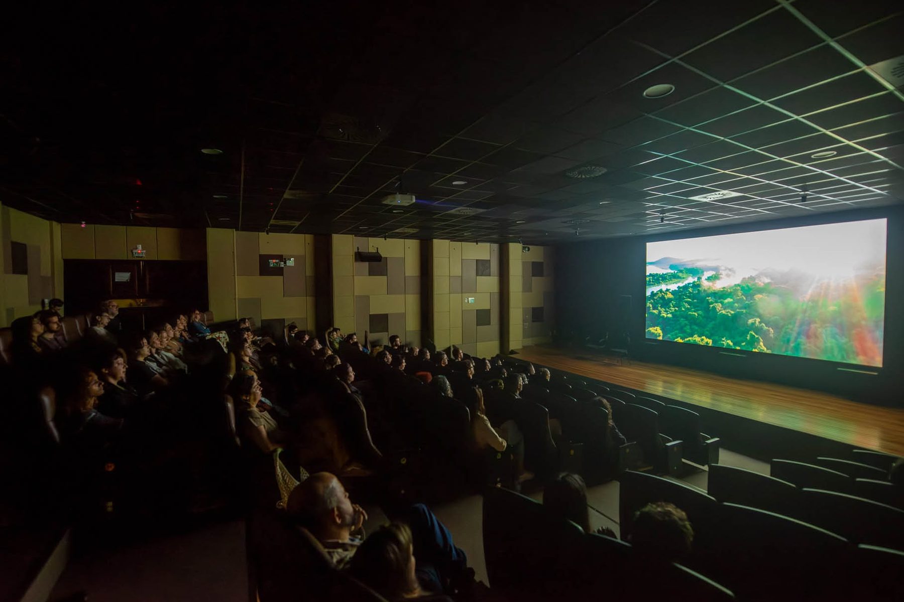 Sala de cinema institucional cheia, com paredes de painéis acústicos; na tela larga, uma vista aérea de floresta com neblina.